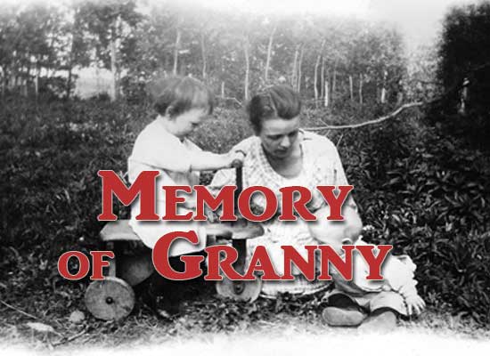 A Memory of Granny, Elizabeth Townsend McLean by Darlene Witte